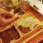 杉養蜂園 登別店的实拍图