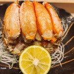かまた寿司的實拍圖