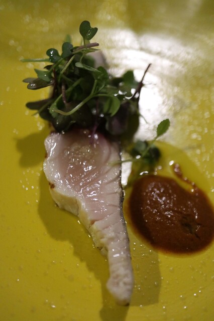 DAL 1982的实拍高清图