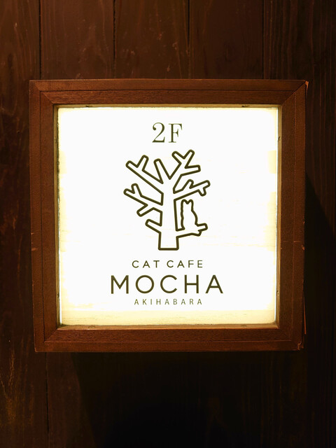 猫カフェMOCHA 秋葉原店的實拍高清圖