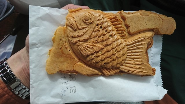 山鯛的实拍高清图
