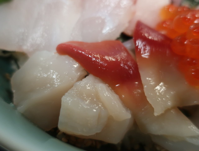 海楽味的实拍高清图