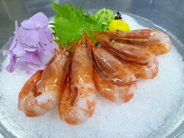 海鮮料理 美加茂的实拍高清图