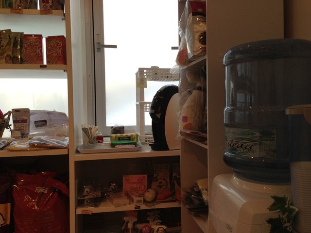 recommendations image for ミス・バニー