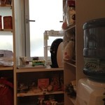 recommendations for ミス・バニー