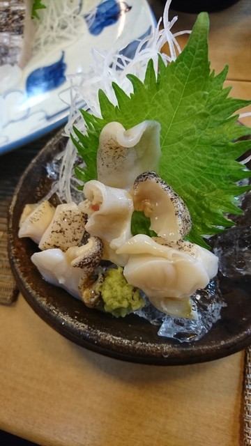 かとう的实拍高清图