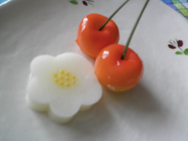 recommendations for 龍栄堂 MEGAドン・キホーテ函館店