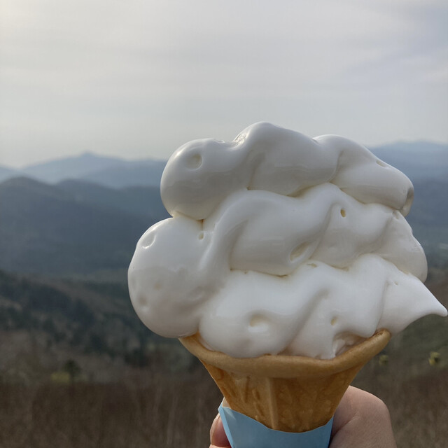 雲Cafe的實拍高清圖