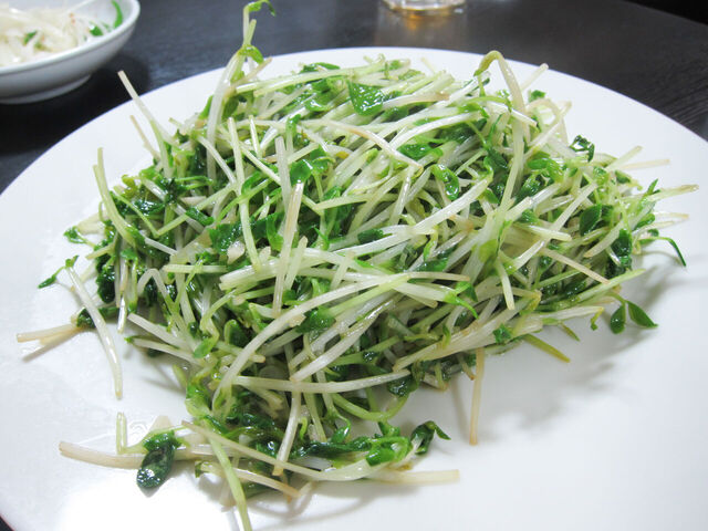 李餃子的实拍高清图