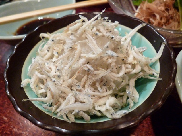 桂川的實拍高清圖