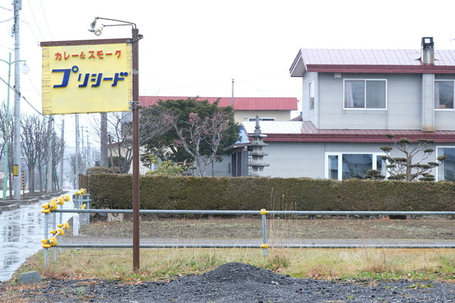プリシード的实拍高清图