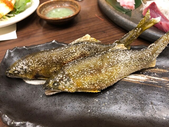 創作個室居酒屋すぎうら 京都駅前七条店的实拍高清图
