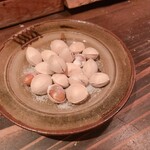 空蝉的實拍圖