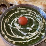 recommendations for SAGUN