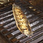 recommendations for 原田うなぎ屋