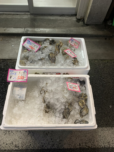 おさかな 魚四季的實拍高清圖