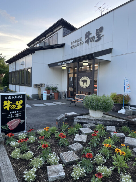 牛の里的實拍高清圖