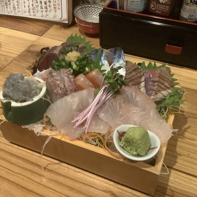 初台 魚ちゃん的實拍高清圖