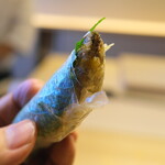 recommendations for ひがしやま 司