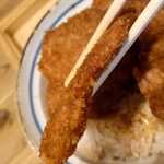 新潟カツ丼 タレカツ 神保町すずらん通り店的实拍图
