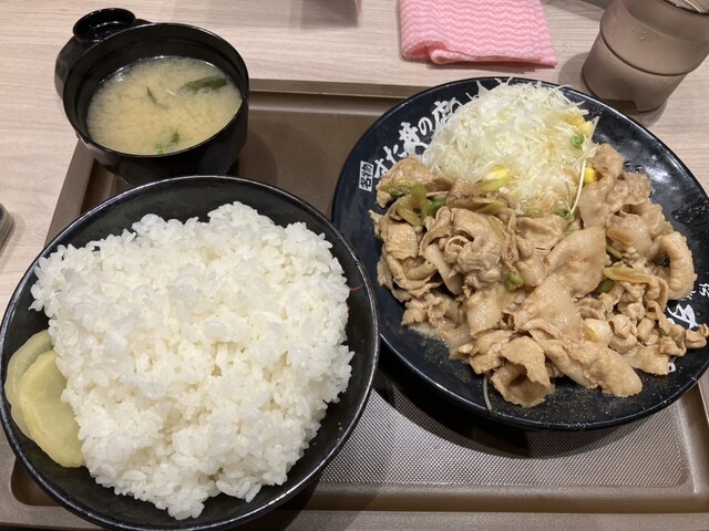 recommendations image for 伝説のすた丼屋  ヨドバシAkiba店