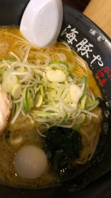 西新 海豚や的实拍高清图