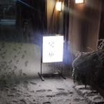 recommendations for 根ぎし侘助