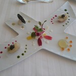 recommendations for テラコヤ