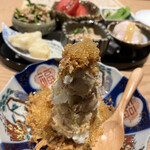 マルコ的實拍圖
