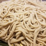 ひまわりの種的实拍图