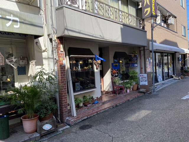 recommendations image for コハク