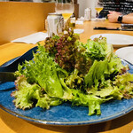 recommendations for オステリア しん介