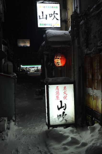 山吹的实拍高清图
