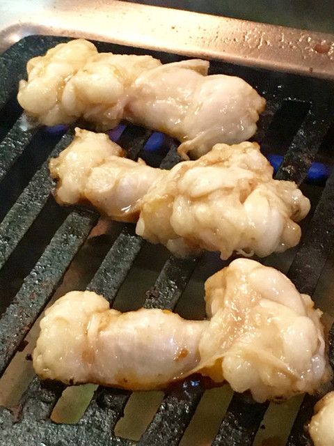 薩摩的實拍高清圖