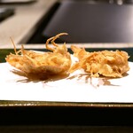 recommendations for なかがわ