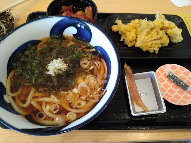 うどんや 昆布さん。的实拍高清图