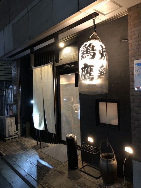 鶏鷹的實拍高清圖