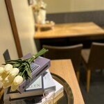 recommendations for sinoa