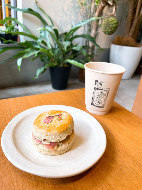 Pati COFFEE&PLANTS的實拍高清圖