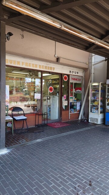 カナリヤ的实拍高清图