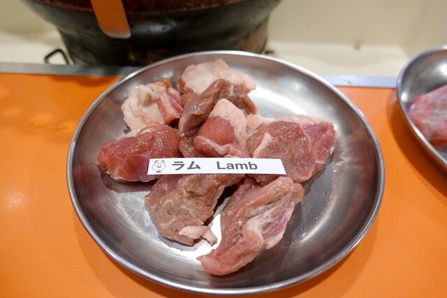 Ram的实拍高清图