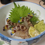 庄ちゃん寿司的實拍圖
