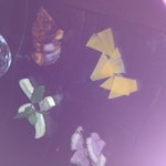 recommendations for I'm diary