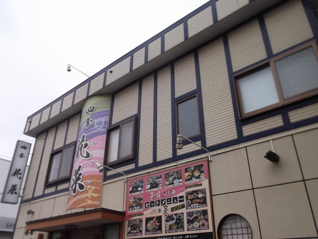四季花菜的实拍高清图