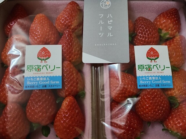 ハピマルフルーツ神楽坂 ラクーア店的實拍高清圖