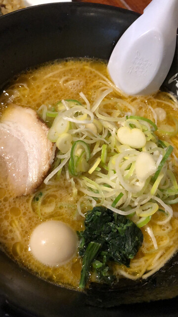 西新 海豚や的实拍高清图