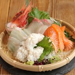 recommendations for サカナトニック BACU