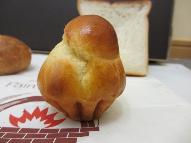 recommendations image for スギノキ