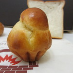 recommendations for スギノキ