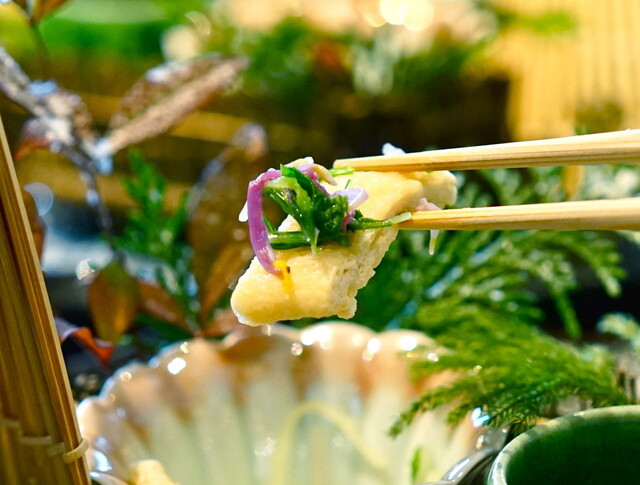 青山 星のなる木的實拍高清圖